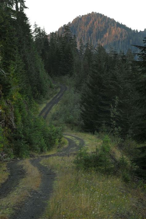 If necessary, dismount your vehicle or bicycle on the downhill side and wait for horses and hikers to pass. . Forest service roads near me